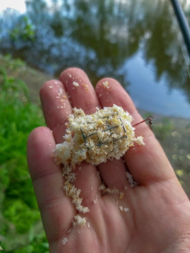 Как и на что ловить голавля фидером весной. Не спортивный способ ловли на хлеб и не только... (11).jpg